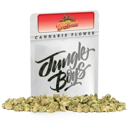 Jungle boys Sherblato OG - Cali Packs - Cali Packs UK - Cali Packs Weed On Sale