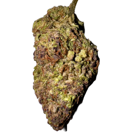 hawaiian rain strain