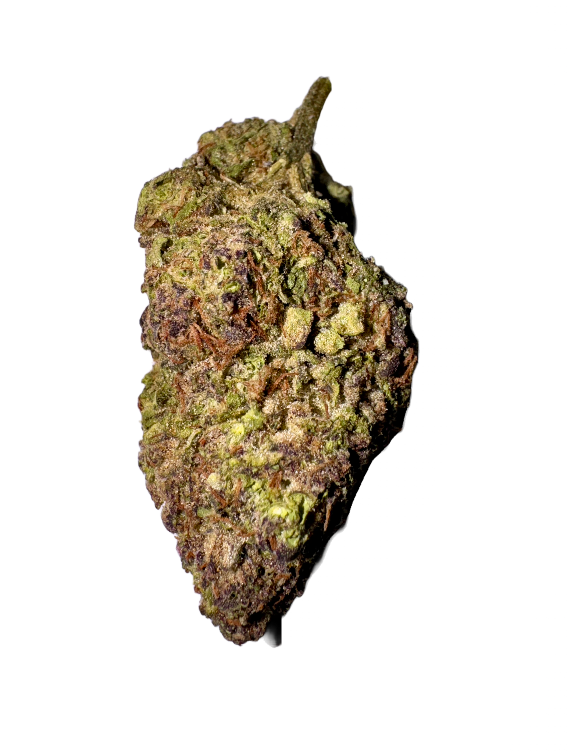 Gush-Mintz- hawaiian rain strain