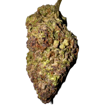 hawaiian rain strain