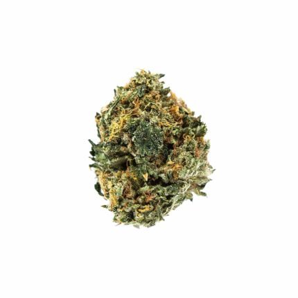 Hindu Kush Strain