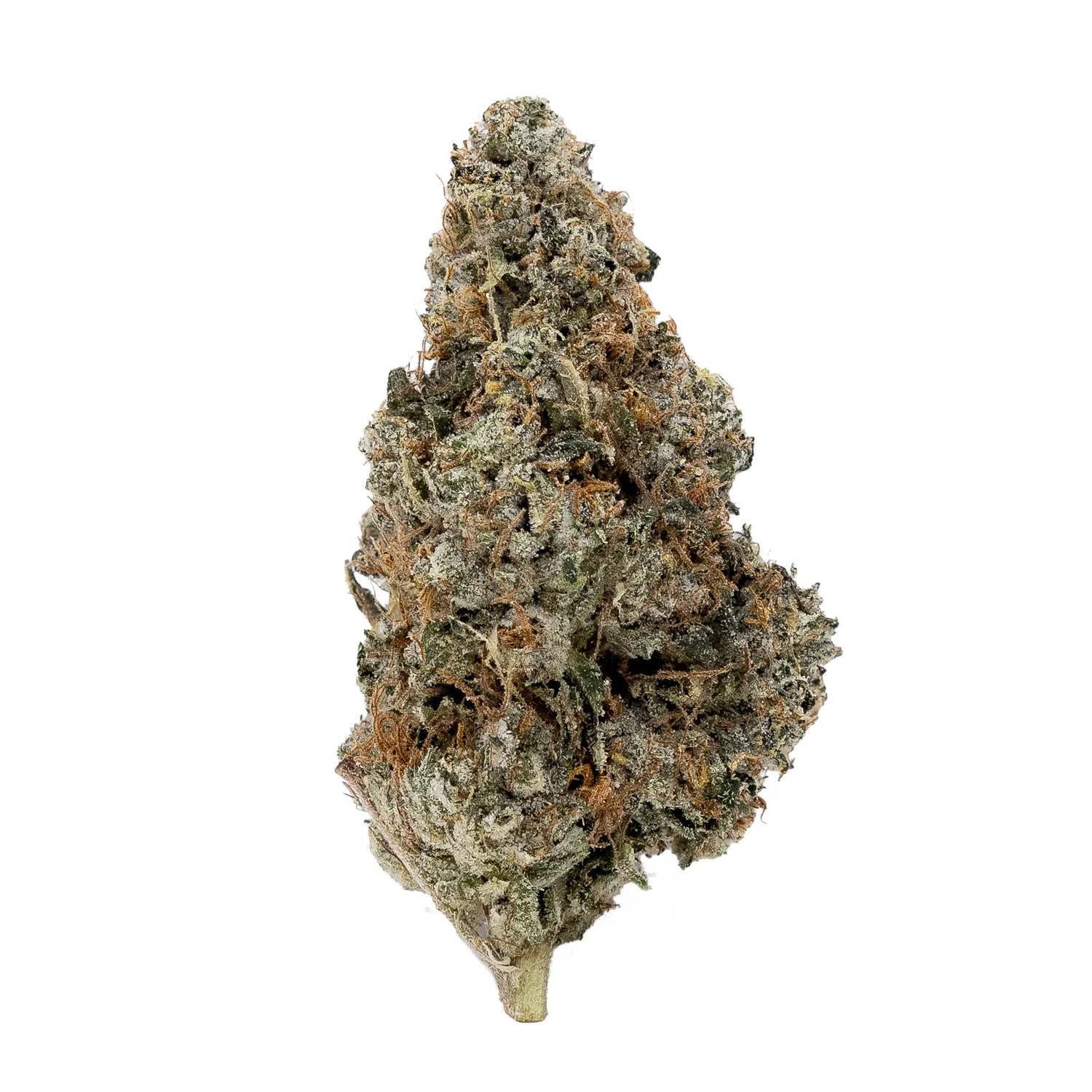 Master Kush Strain
