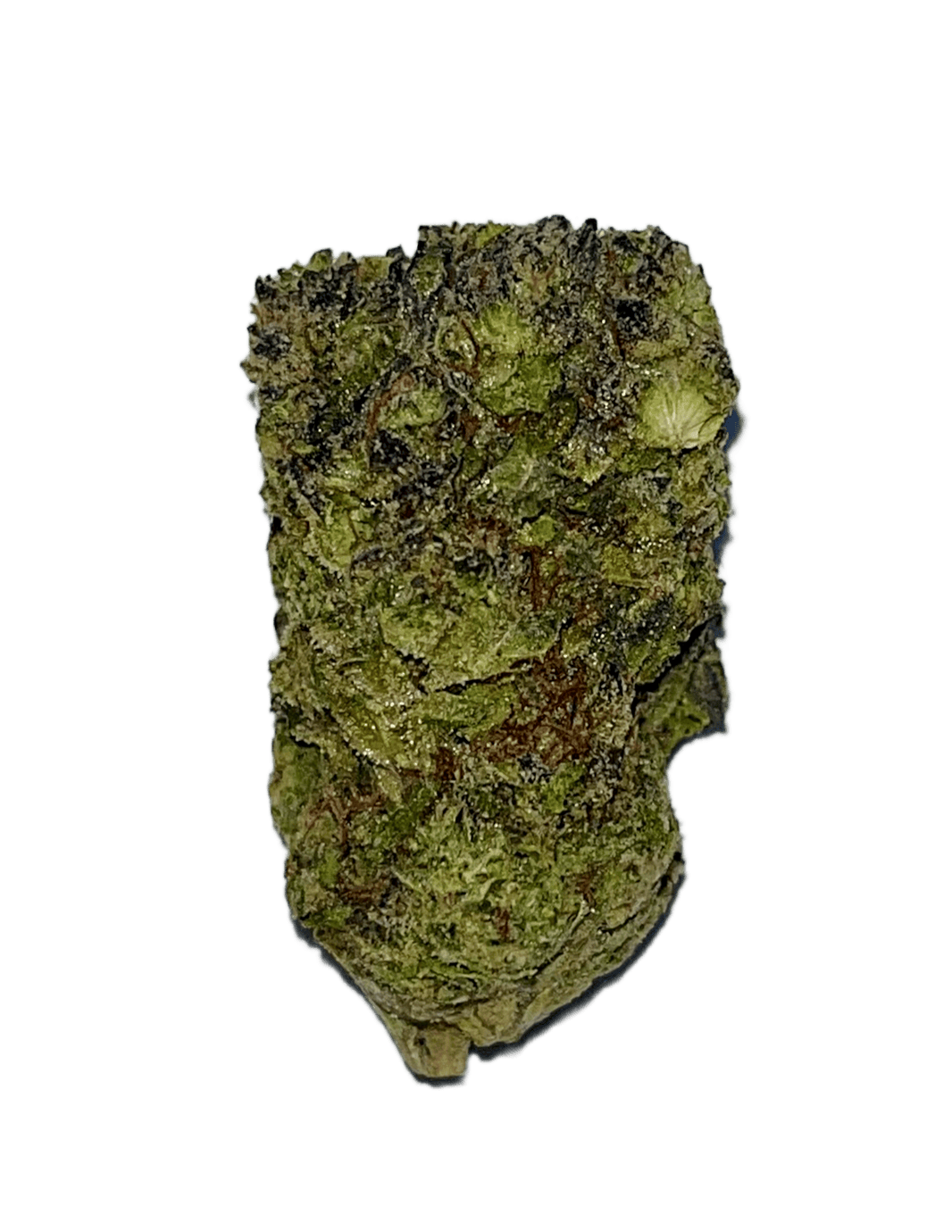 Flower-Lemon_Cherry_Gelato-e1734695059986 Lemon Cherry Gelato